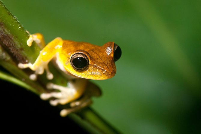 4 Day Refugio Amazonas - Classic Program - Group Service - Good To Know