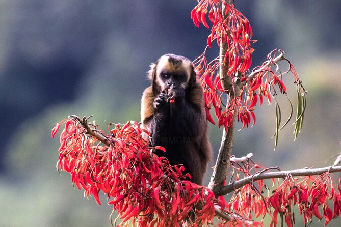 4 Day Tour to the Manu National Park - Good To Know