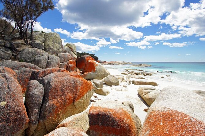 4-Day Wukalina Walk Hiking and Cultural Experience in Tasmania - Good To Know