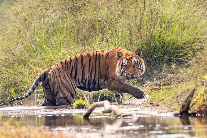 4 Days Bardia National Park Tour - Good To Know
