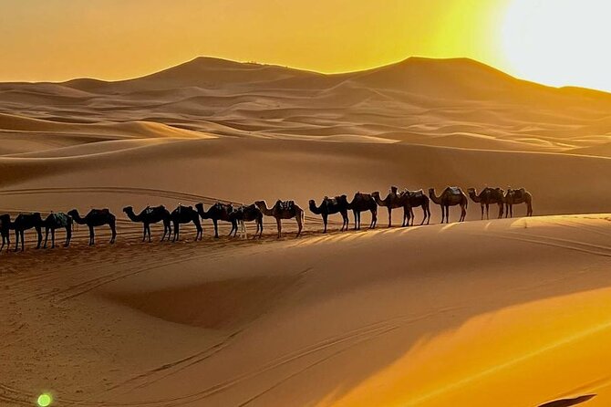 4 Days Desert Tour From Marrakech To Fes Via Merzouga &Camel Trek
