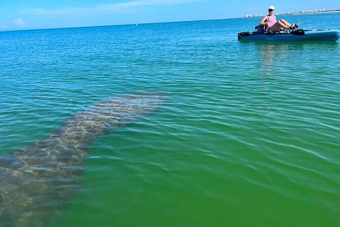 4-Hour Guided Kayak Adventure in Bonita Springs