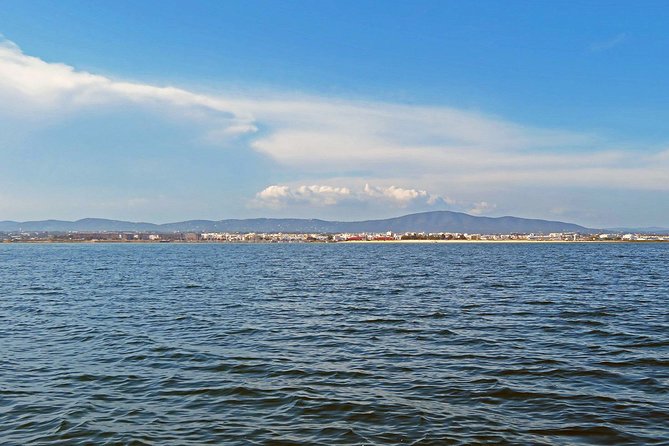 4-Hour Private Boat Tour in Ria Formosa