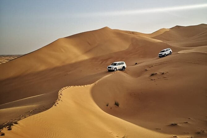 4 Hours Morning Desert Safari in Dubai - Good To Know