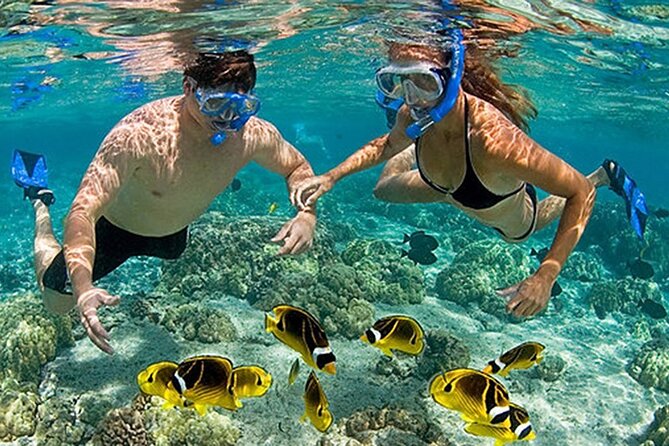 4-Island Visit From Phu Quoc With Speedboat and Scuba Diving - Speedboat Transfer to 4 Islands