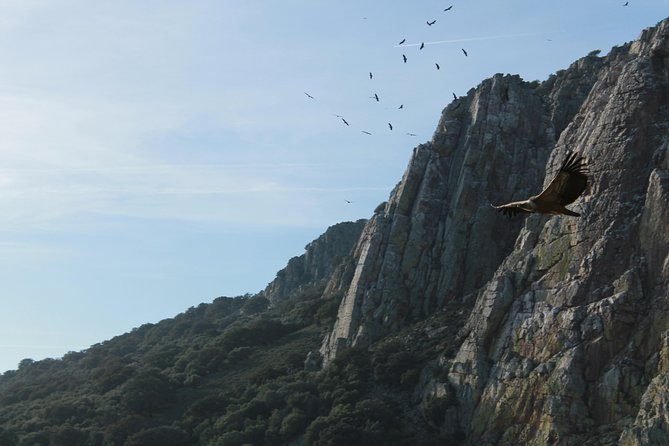 4 X 4 MONFRAGÜE NATIONAL Park. Minimum 4 People. - Whats Included and Meeting and Pickup