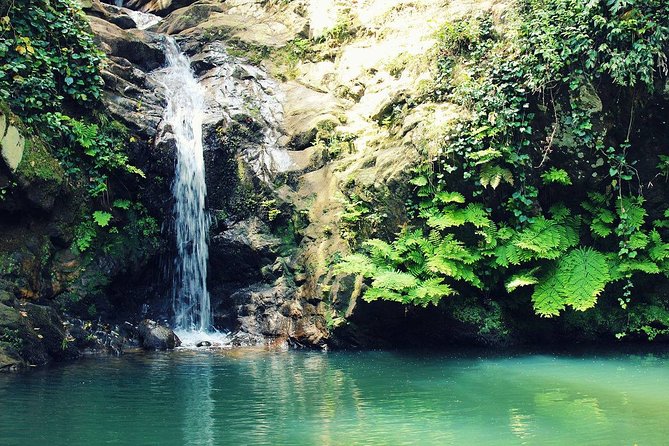 1 Day Excursion Nature and Archeology Bulla Regia and Beni Mtir From Tunis - Cancellation Policy and Refunds