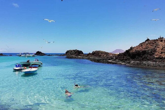 1 Day Hiking Adventure in Isla Lobos - Pricing and Terms