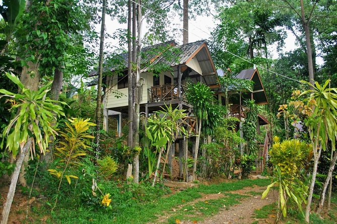 1 Day Khao Sok Jungle Safari and 2 Days Cheow Lan Lake Explorer From Krabi - Tour Schedule