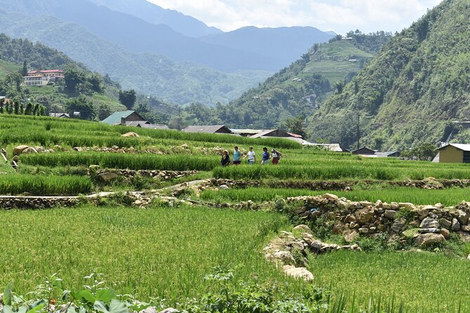 1-Day Private Trekking in Sapa Through Terraces Rice Fields - Terms and Conditions