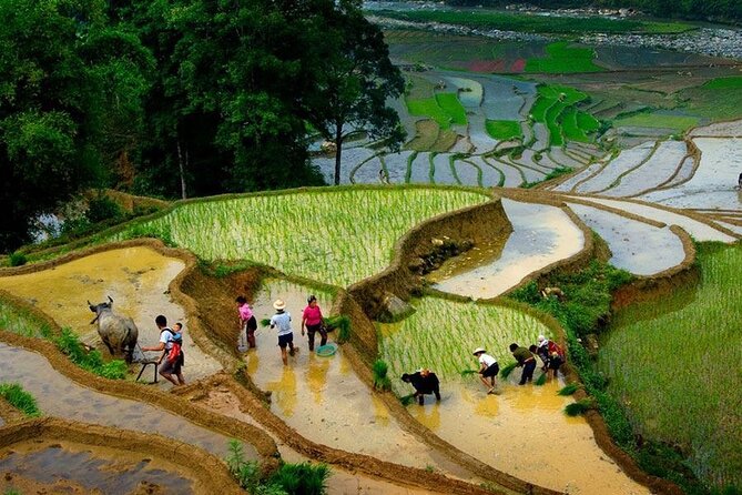 1 Day Sapa Trekking To Lao Chai and Ta Van Village - Local Cuisine: Indulging in Authentic Vietnamese Food