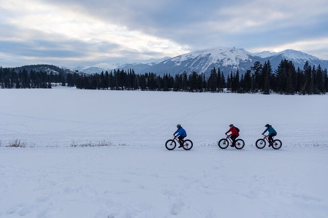 1-Hour Guided Group Fat Bike Tour - Additional Information