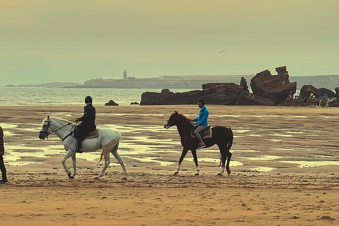 1 Hour Horse Ride on the Beach of Essaouira - Meeting and Pickup Details