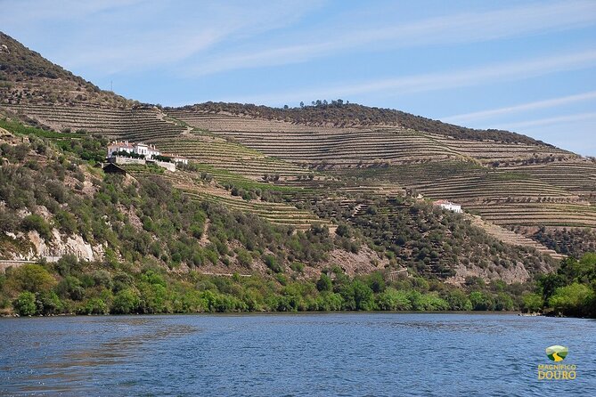 1-Hour Rabelo Boat Trip in Pinhão - End Point and Return
