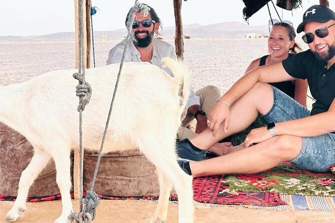 1 Night 2 Day Tour to Luxury Desert Camp From Fes by Small Group - Booking and Contact Information