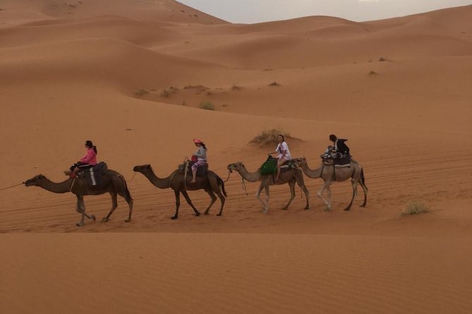 1 Night Camp Camel Ride - Cancellation Policy