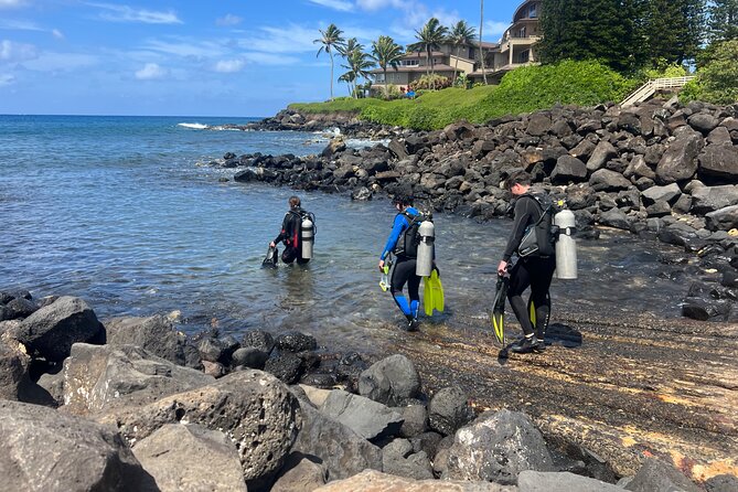 1 Tank Discover Scuba at Koloa Landing With No Experience Needed - The Sum Up