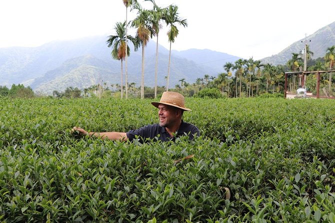 10-Day Round Taiwan Tea Origin Tour - Additional Information
