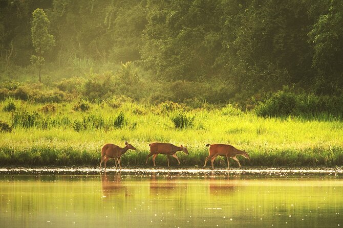 10 Hours Private Hiking in Khao Yai National Park From Bangkok - Hiking Trails and Highlights