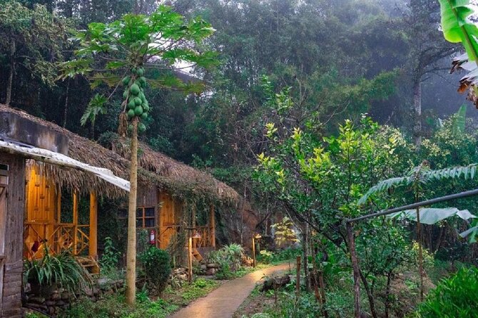 2-Day SAPA Trekking - Villages-Homestay-Ethnic-Local Food-Market - Vibrant Markets