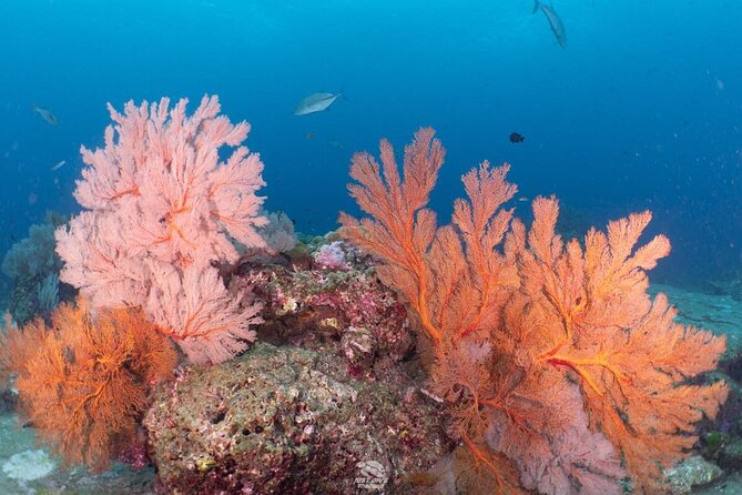 2-Day Similans Scuba Diving From Phuket - Inclusions
