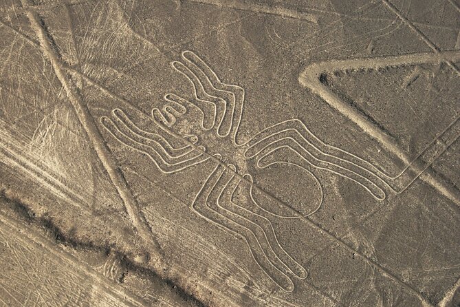 2 Day Tour From Lima: Nazca Lines Flight, Paracas, and Huacachina - The Sum Up