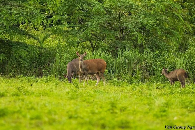 2-Day Trekking & Biking Nam Cat Tien National Park From HCM City - Traveler Reviews and Photos