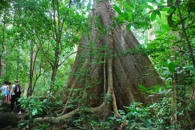 2-Day Trekking Nam Cat Tien National Park - Common Questions