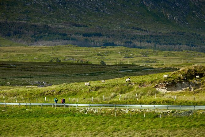 2-Day Western Ireland Tour From Dublin:Including Galway and Cliffs of Moher - The Sum Up