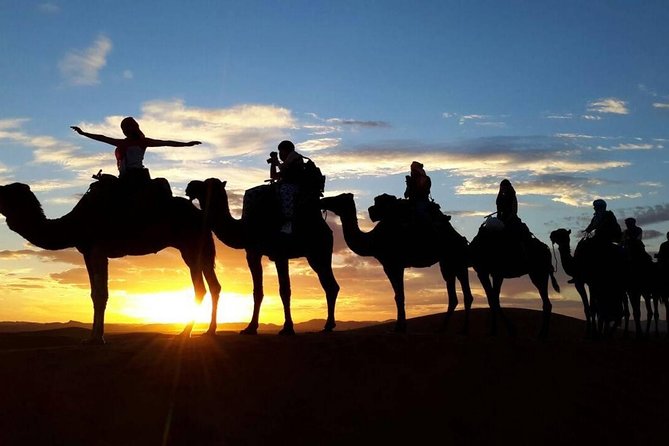 2-Day Zagora Desert Tour From Marrakech - Tour Overview