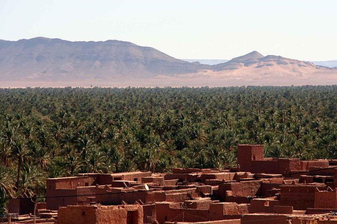 2 Days 1 Night To Zagora Desert Tour From Marrakech - Customer Feedback and Reviews