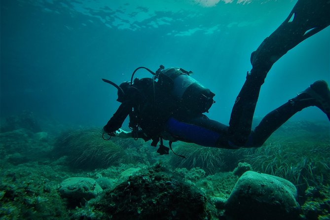 2 Dives Package - Meeting and Pickup