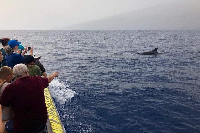2-Hour Boat Trip With Snorkelling From La Restinga, El Hierro - Duration: 2 Hours