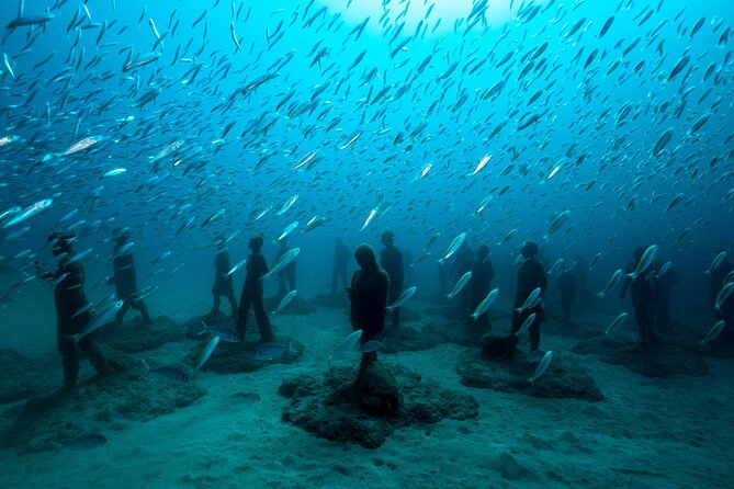 2-Hour Freediving Activity at the Atlantic Museum - Background
