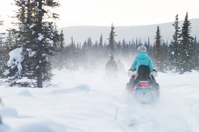 2-Hour Guided Snowmobile Tour in Fairbanks - Snowmobile Gear Provided