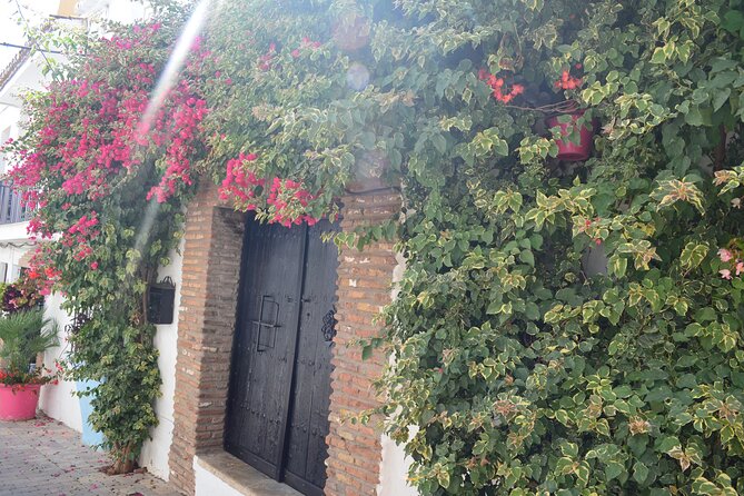 2-Hour Historical Walking Tour of Estepona - Expert Tour Guide
