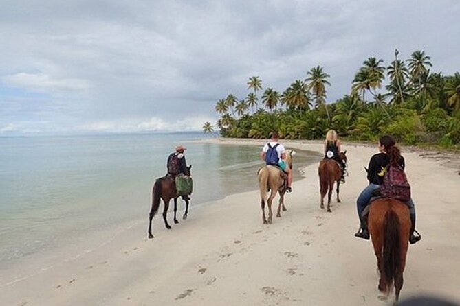 2 Hour Horseback Riding on the Beaches of Punta Cana - Suitable for All Skill Levels