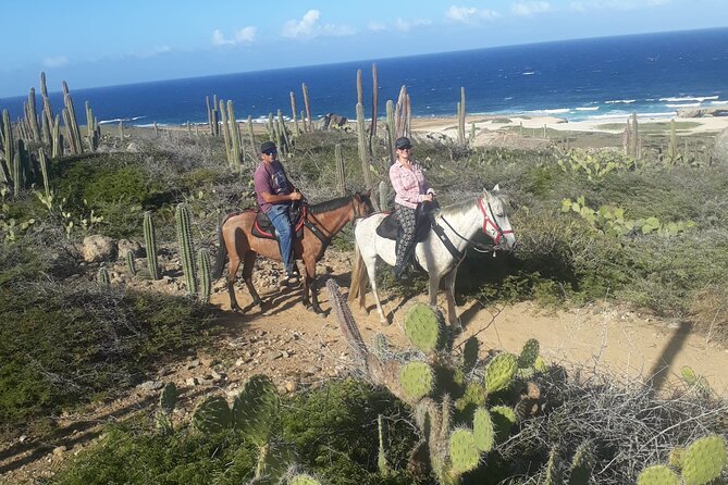 2-Hour Horseback Riding Tour to Little Natural Bridge in Aruba - Common Questions