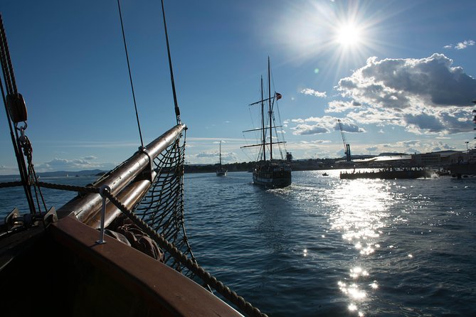 2-Hour Oslo Fjord Sightseeing Cruise - Positive Feedback and Future Plans