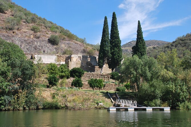2-Hour Rabelo Boat Tour in Pinhão - Traveler Photos and Reviews