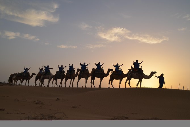 2-Hour Walks to Discover Essaouira - Reviews