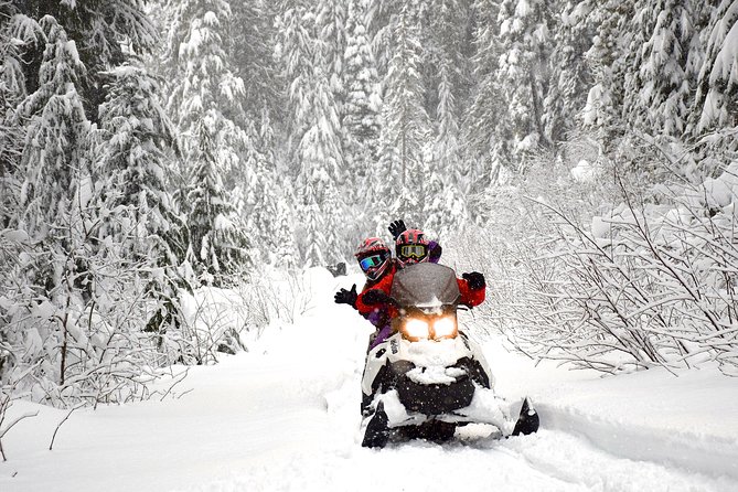 2 Hour Wilderness Adventure Snowmobile Tour - Expert Guides and Instructors