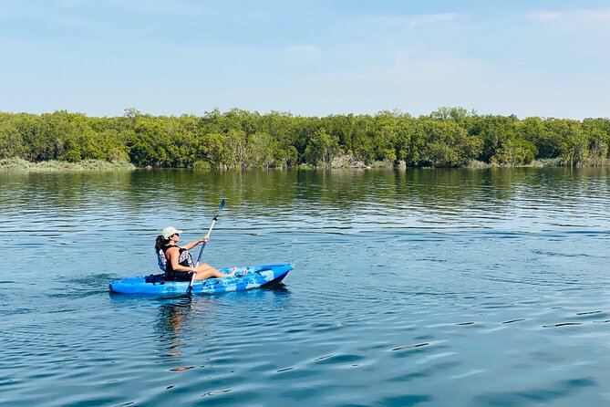 2 Hours Guided Mangrove Kayaking in Abu Dhabi - Additional Information