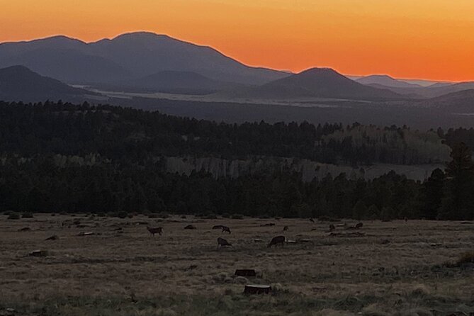 2 Hours Private E-Bike Tours In Northern Arizona - How to Get to the Meeting Point