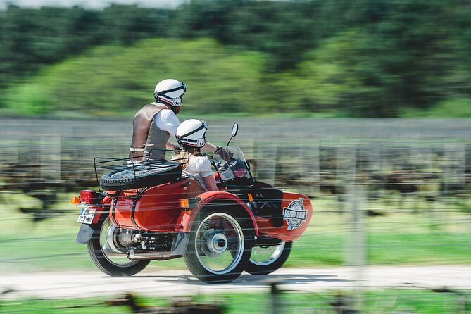 2 in 1 - Visit of Bordeaux and Excursion in a Vineyard - Unwind in the Tranquil Beauty of Vineyard Landscapes
