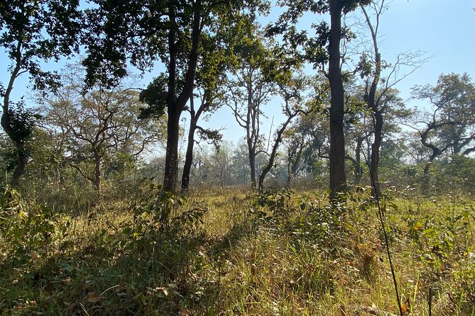 2 Nights 3 Days Chitwan Jungle Safari Tour - Transportation and Logistics
