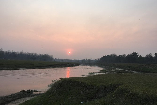 2 Nights 3 Days Chitwan Wildlife Jungle Safari Package Tour - Chitwan National Park Exploration