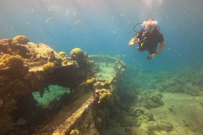 2 Tank Guided Shore Dive - Start Time and End Point