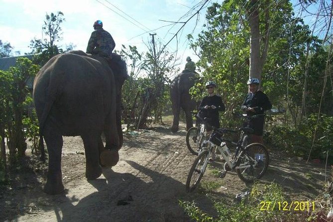 2Days Tour to Nha Trang From Dalat - Common Questions