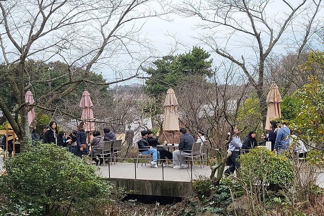 2Days World Natural Heritage Tour in Jeju Island - Meeting and Pickup